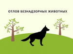 Отлов безнадзорных животных.